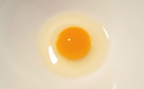静岡県産「命のカプセル うずらの卵」