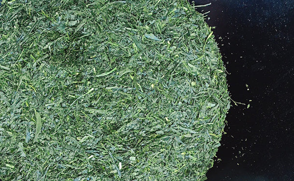静岡県産「産地直送緑茶 遠州 森の茶」