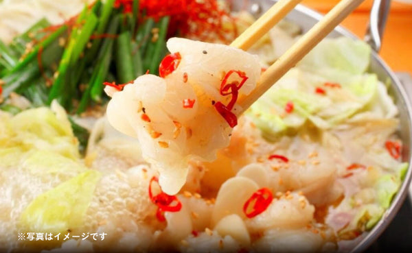 「もつ鍋生ラーメンセット」