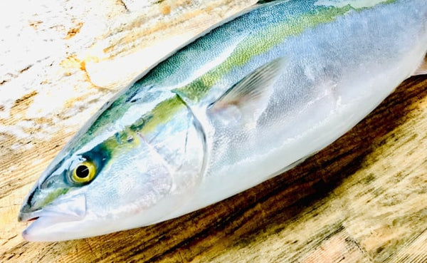 愛媛県産「ブリの刺身・骨抜き切身魚セット」