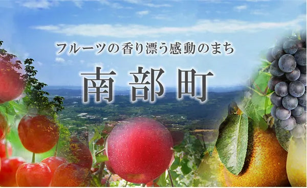青森県産「早生フジ」約4.5kg（13玉前後）