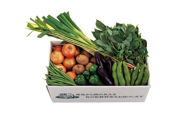「千葉県産 旬の採りたて新鮮野菜セット」6～10品（RC-453）