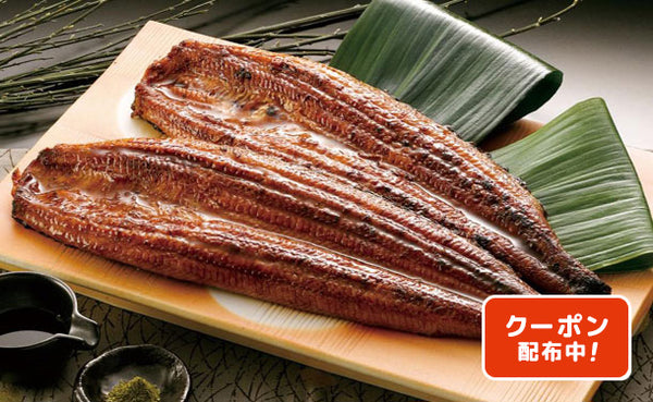 九州産「うなぎの蒲焼」2尾（RE-371）