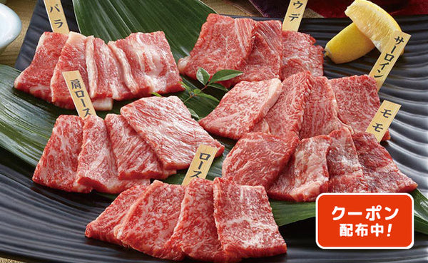 国産黒毛和牛「焼肉食べ比べ（サーロイン・肩ロース・ロース・ウデ・バラ・モモ）」計300g（OY27P1755A2）