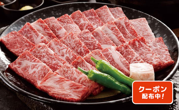 大淀河畔みやちく「宮崎牛 焼肉（肩ロース）」500g（RE-283）
