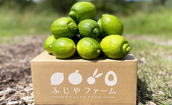 広島県大崎上島産「グリーンレモン」