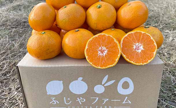 大崎上島産「温州みかん」