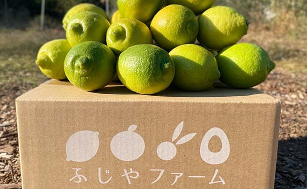 大崎上島産「【訳あり】瀬戸内レモン」