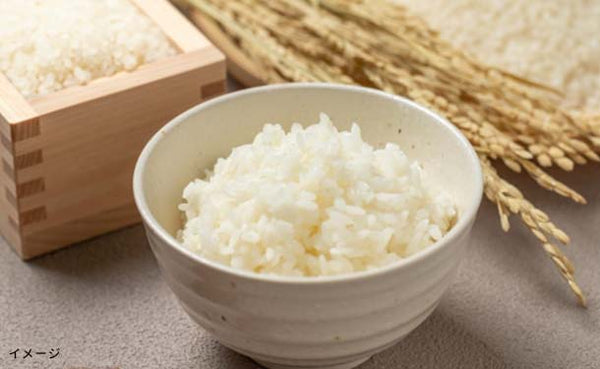 「北海道産 ゆめぴりか 無洗米」