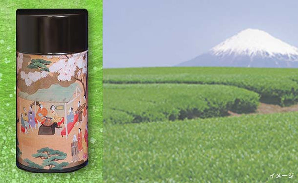 国産「深むし煎茶 安土・桃山化粧缶入り」