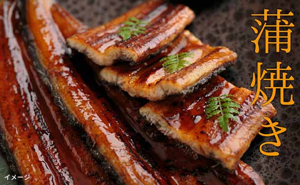 魚魚一「浜名湖うなぎの詰め合わせ（梅）」