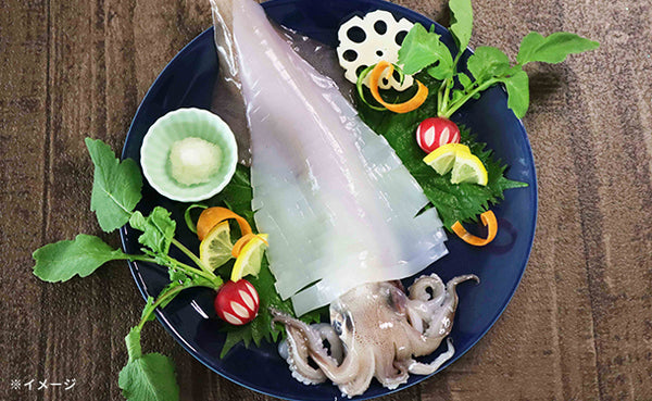 「呼子 剣先イカ姿造り」