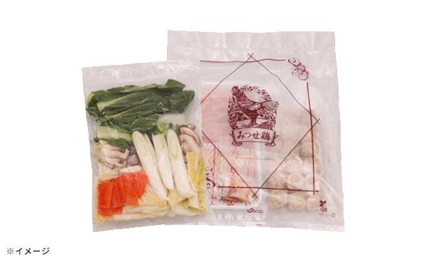 「みつせ鶏白湯スープキット（3～4人前）」