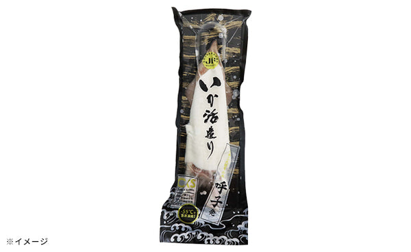 「呼子 剣先イカ姿造り」