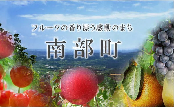 四戸農園 青森県産「特選葉とらずサンふじ」4kg（13玉前後）