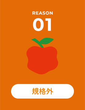 REASON 01 規格外